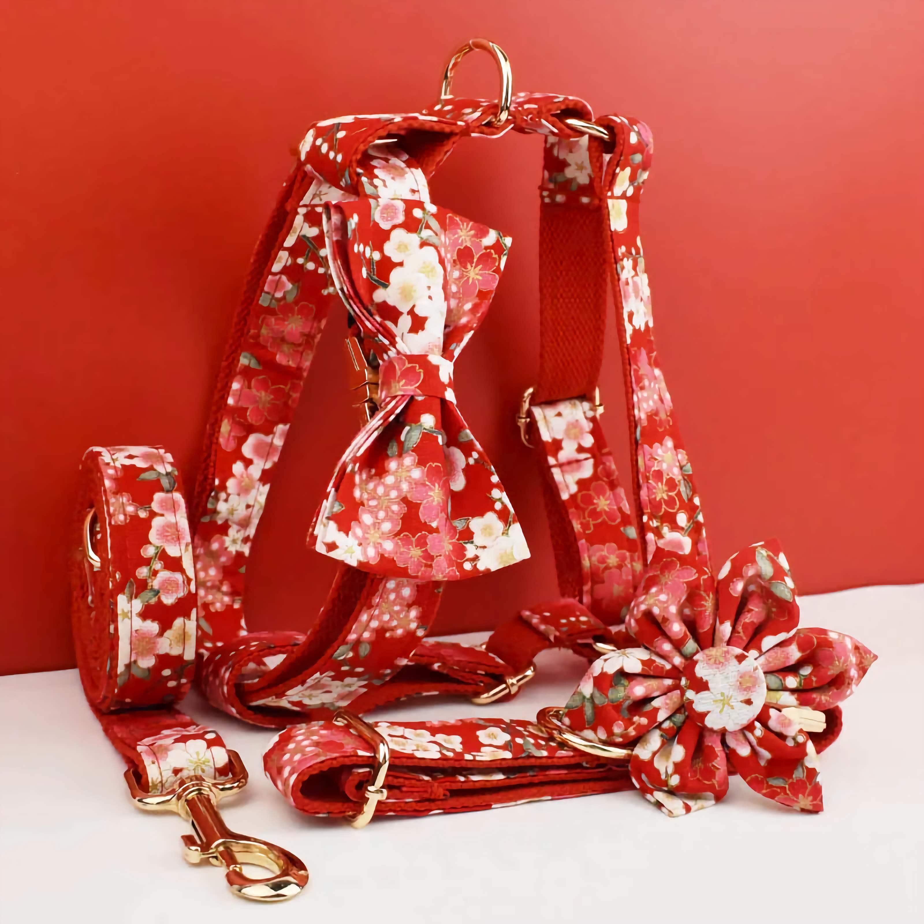 D&D Paws  Ruby Bloom Floral Dog Collar, Harness & Leash Set – Personalized