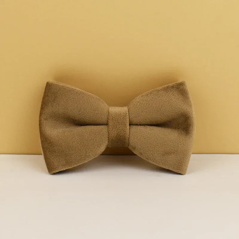 D&D Paws  Shallow Khaki Velvet - Modern Luxe Set