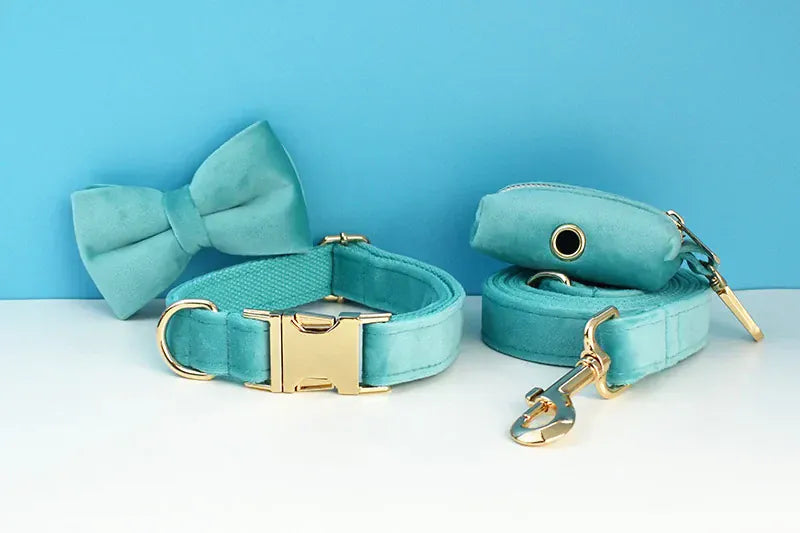 D&D Paws  Turquoise Stone Velvet - Modern Luxe Set