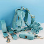 D&D Paws  Turquoise Stone Velvet - Modern Luxe Set