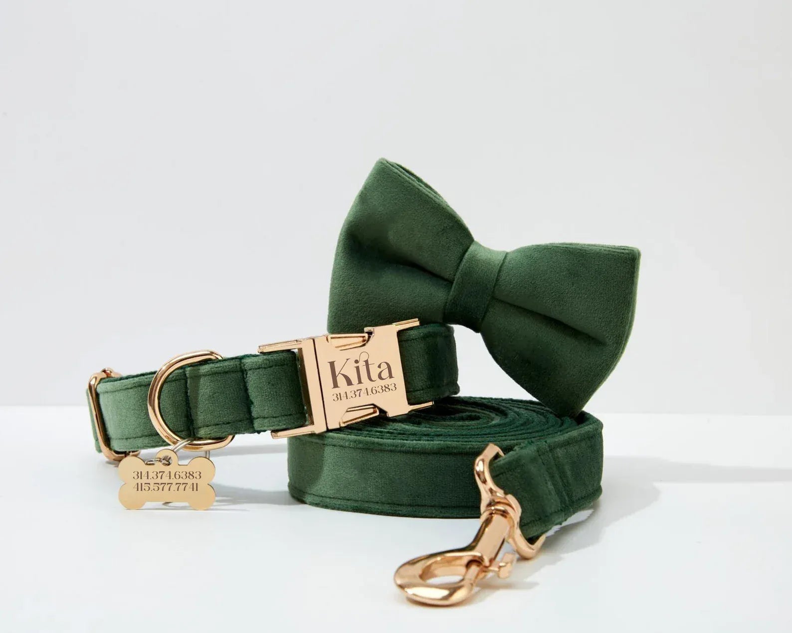 D&D Paws  Velvet Dark Green Dog Collar, Harness & Leash Set – Modern Luxe Personalized