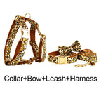 D&D Paws  Velvet Leopard Dog Collar, Harness & Leash Set – Modern Luxe Personalized