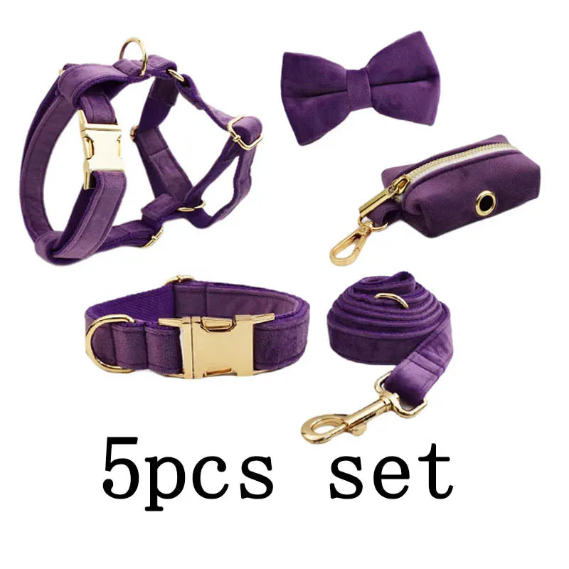 D&D Paws  Velvet Purple Dog Collar, Harness & Leash Set – Modern Luxe Personalized