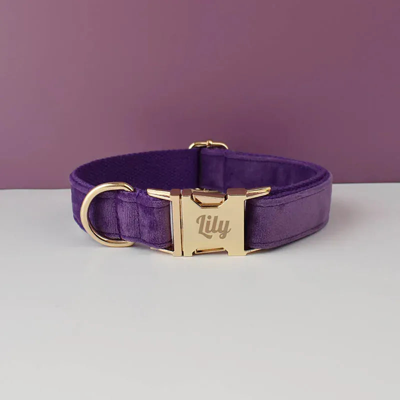 D&D Paws  Velvet Purple Dog Collar, Harness & Leash Set – Modern Luxe Personalized