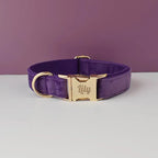 D&D Paws  Velvet Purple Dog Collar, Harness & Leash Set – Modern Luxe Personalized