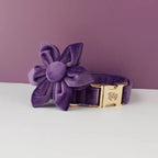 D&D Paws  Velvet Purple Dog Collar, Harness & Leash Set – Modern Luxe Personalized