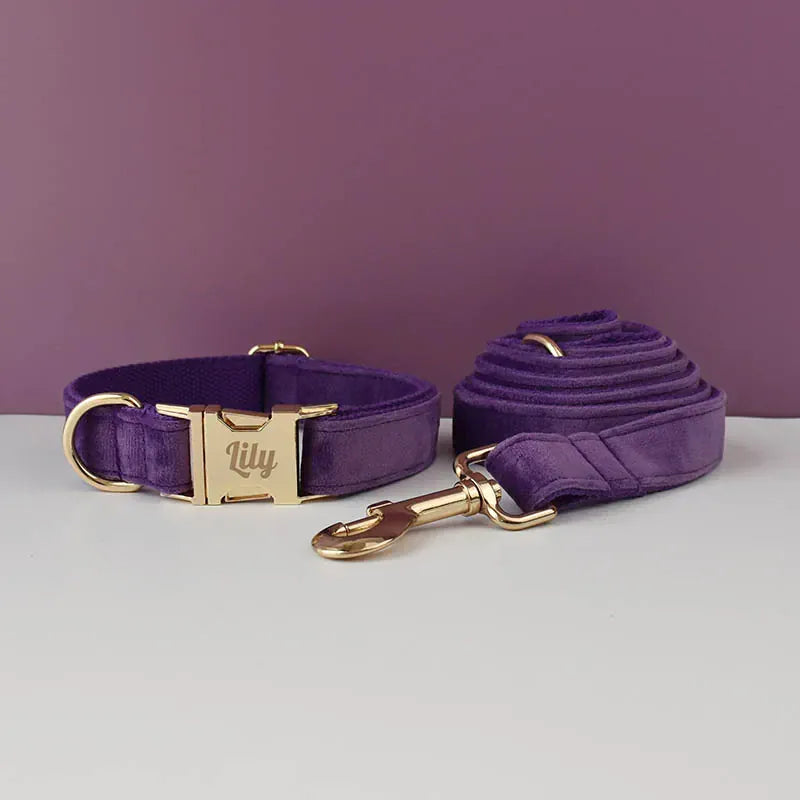 D&D Paws  Velvet Purple Dog Collar, Harness & Leash Set – Modern Luxe Personalized