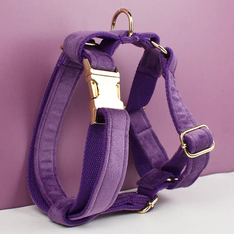 D&D Paws  Velvet Purple Dog Collar, Harness & Leash Set – Modern Luxe Personalized