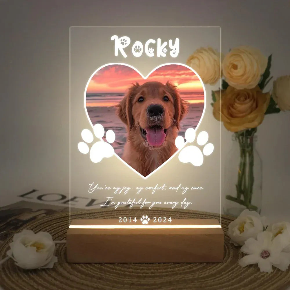 D&D Paws  Version 1 / 3-color light Personalized Pet LED Night Light – Custom Photo Memorial Frame with Name & Date