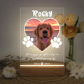D&D Paws  Version 1 / 3-color light Personalized Pet LED Night Light – Custom Photo Memorial Frame with Name & Date
