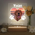 D&D Paws  Version 1 / 3-color light Personalized Pet LED Night Light – Custom Photo Memorial Frame with Name & Date
