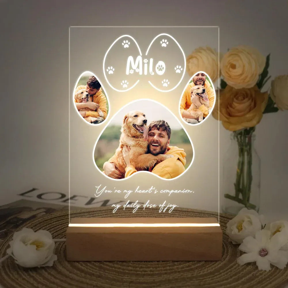 D&D Paws  Version 2 / 3-color light Personalized Pet LED Night Light – Custom Photo Memorial Frame with Name & Date
