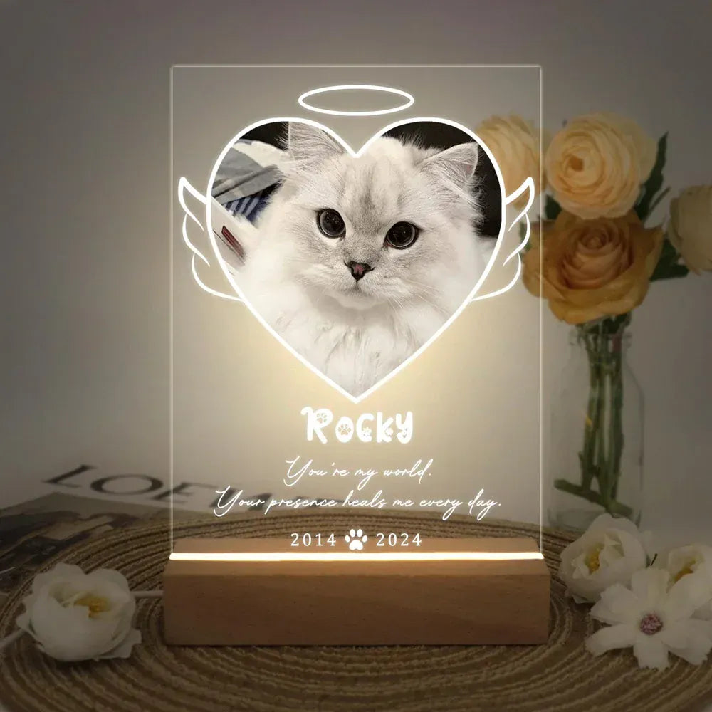 D&D Paws  Version 4 / 3-color light Personalized Pet LED Night Light – Custom Photo Memorial Frame with Name & Date