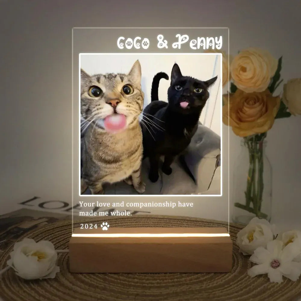D&D Paws  Version 5 / 3-color light Personalized Pet LED Night Light – Custom Photo Memorial Frame with Name & Date