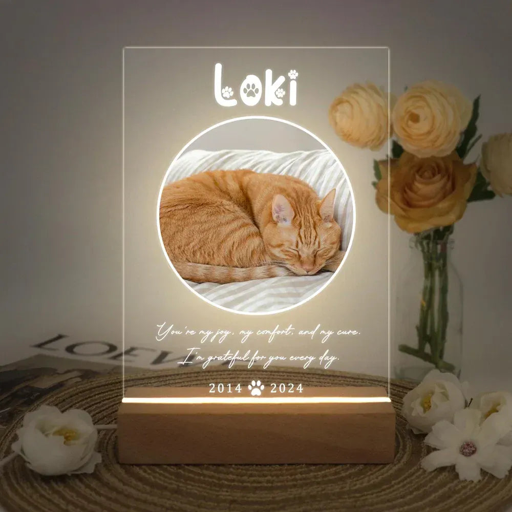D&D Paws  Version 6 / 3-color light Personalized Pet LED Night Light – Custom Photo Memorial Frame with Name & Date
