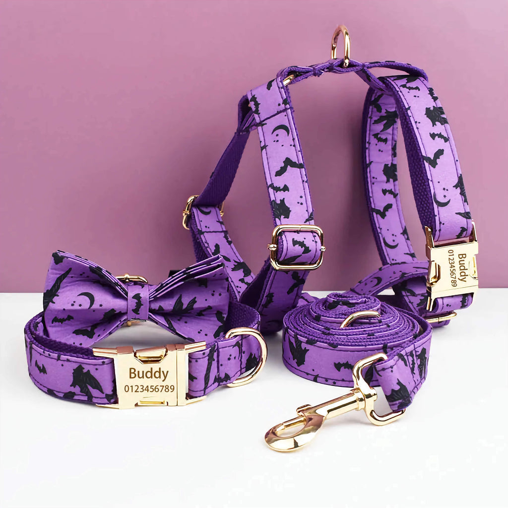 D&D Paws  Violet Dog Collar, Harness & Leash Set – Classic Elegance Personalized