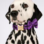 D&D Paws  Violet Dog Collar, Harness & Leash Set – Classic Elegance Personalized