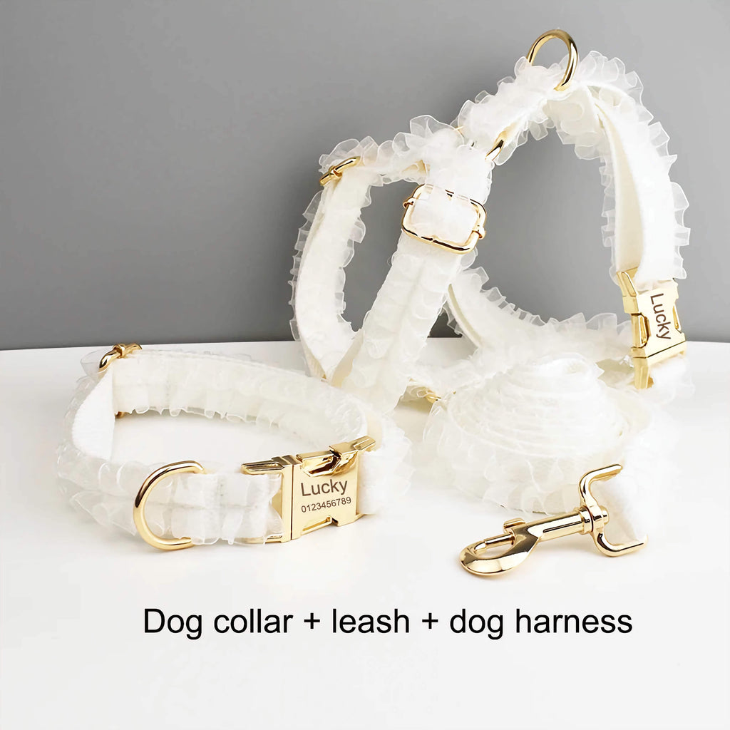 D&D Paws  Wedding White Lace Dog Collar, Harness & Leash Set – Modern Luxe Personalized