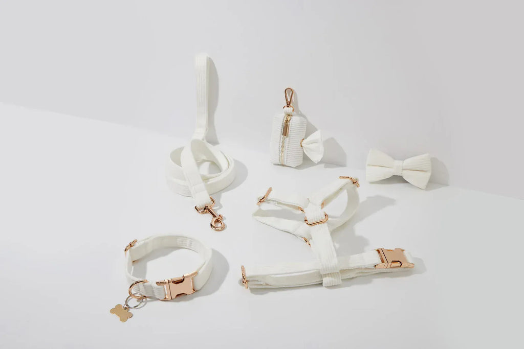D&D Paws  White Corduroy Dog Harness, Collar & Leash Set – Classic Elegance Collection