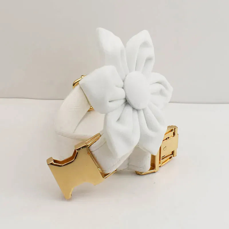 D&D Paws  White Wedding Velvet Dog Collar, Harness & Leash Set – Classic Elegance