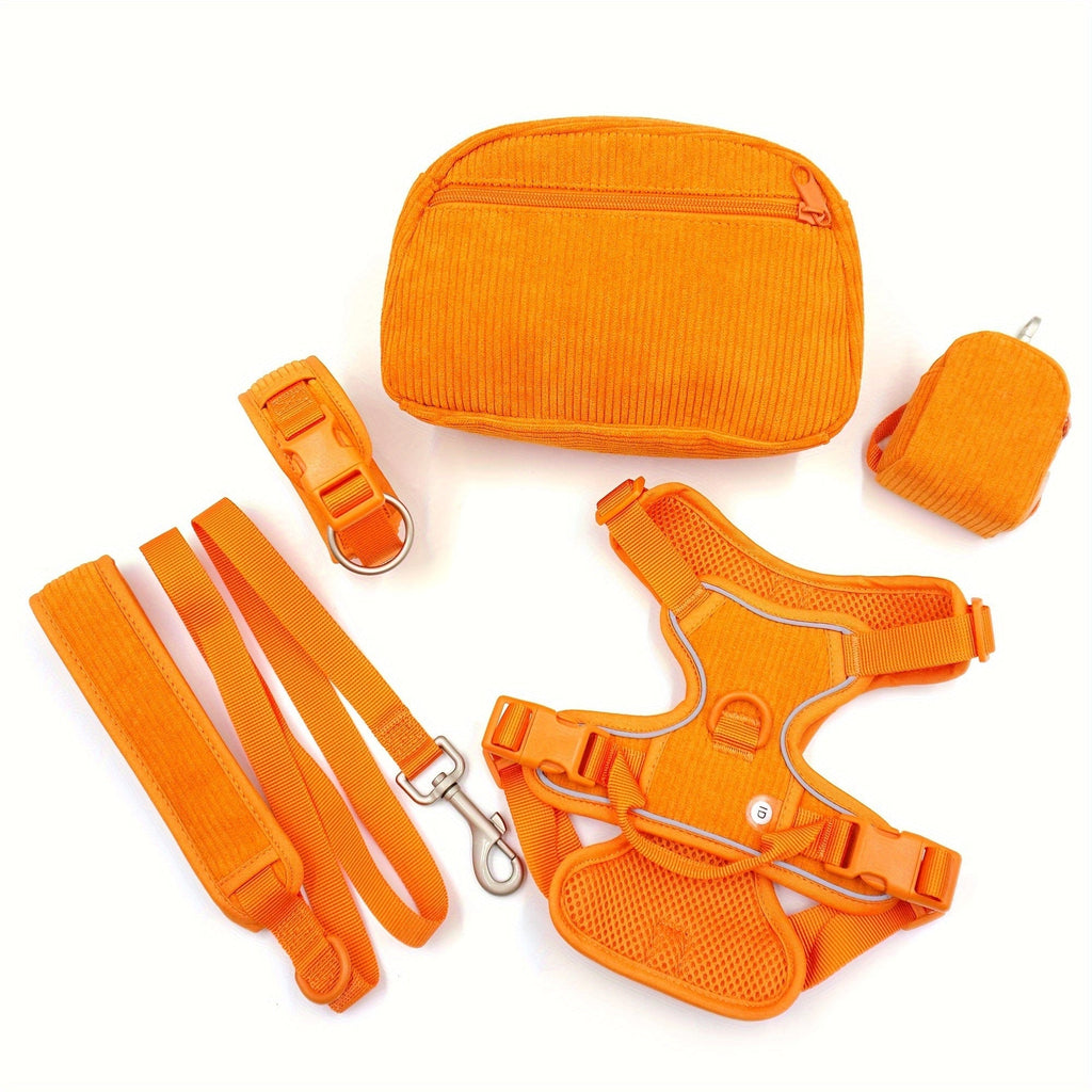 DDPaws  Orange / S Personalized Light Weight Dog Walking Set