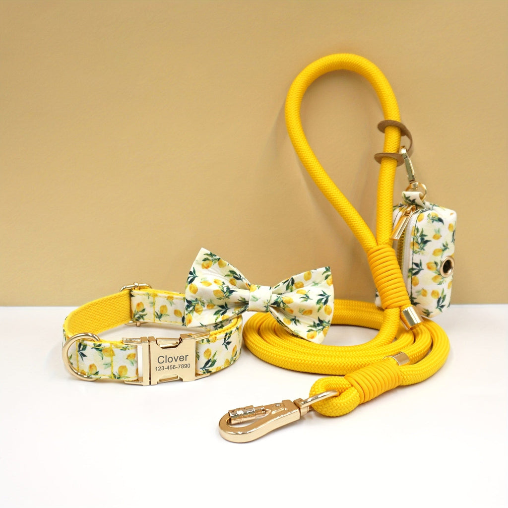 Personalized Cotton Dog Collar Leash Set