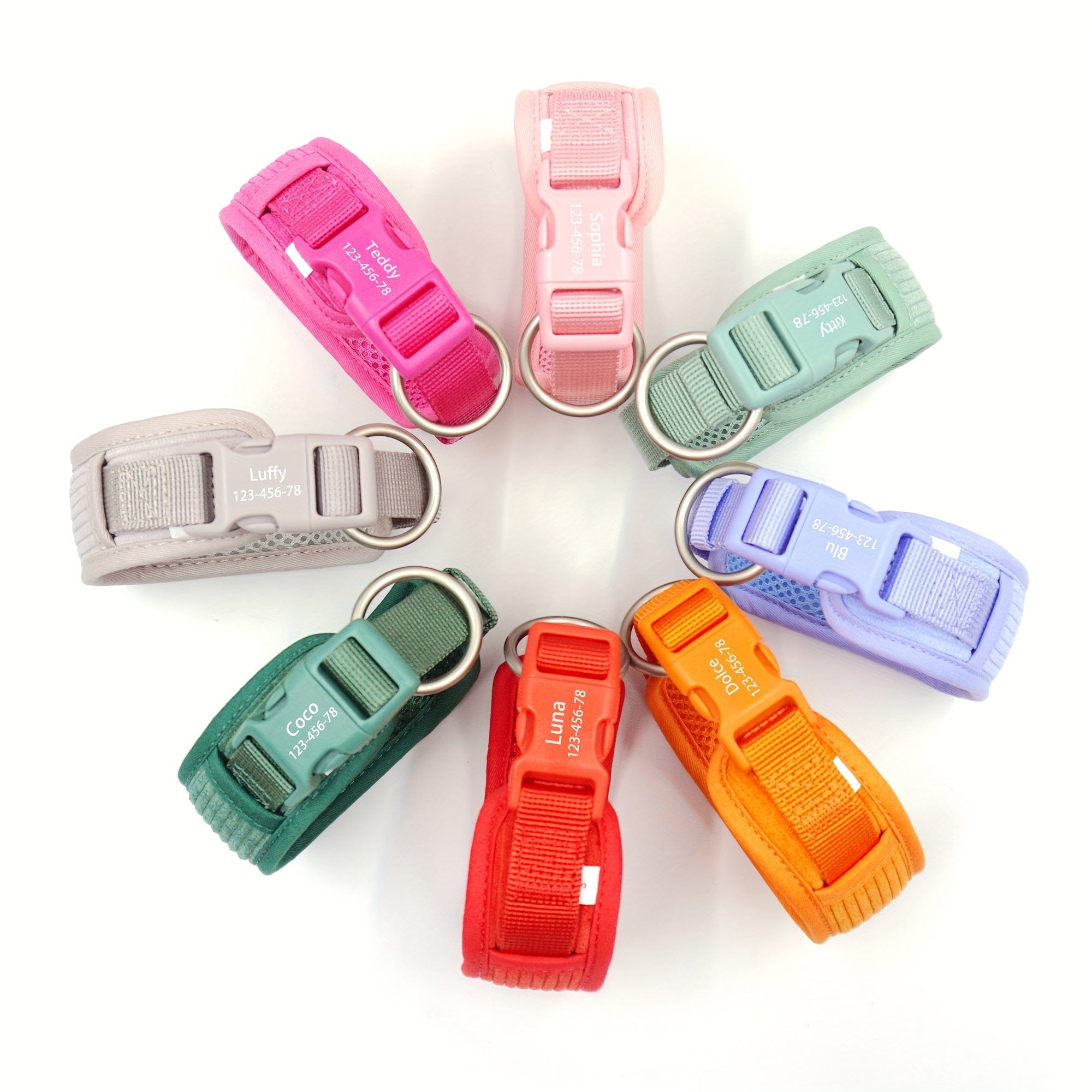 Personalized Light Weight Dog Walking Set