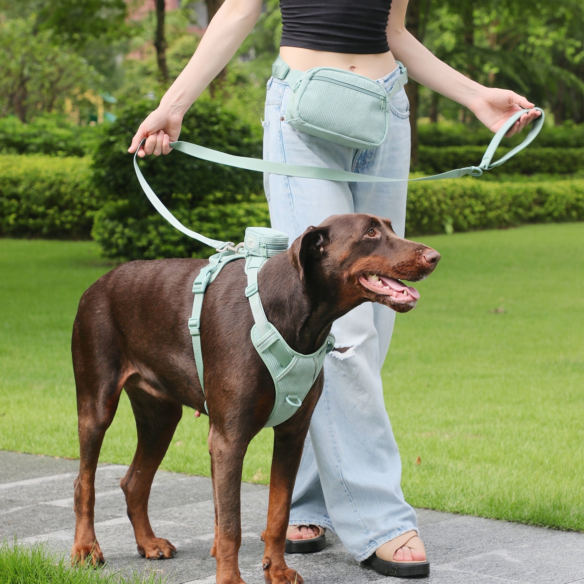DDPaws  Personalized Light Weight Dog Walking Set