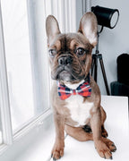 D&D Paws Designed Crimson Navy Plaid Dog Vest Set