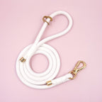 Personalized Teddy Dog Walking Set