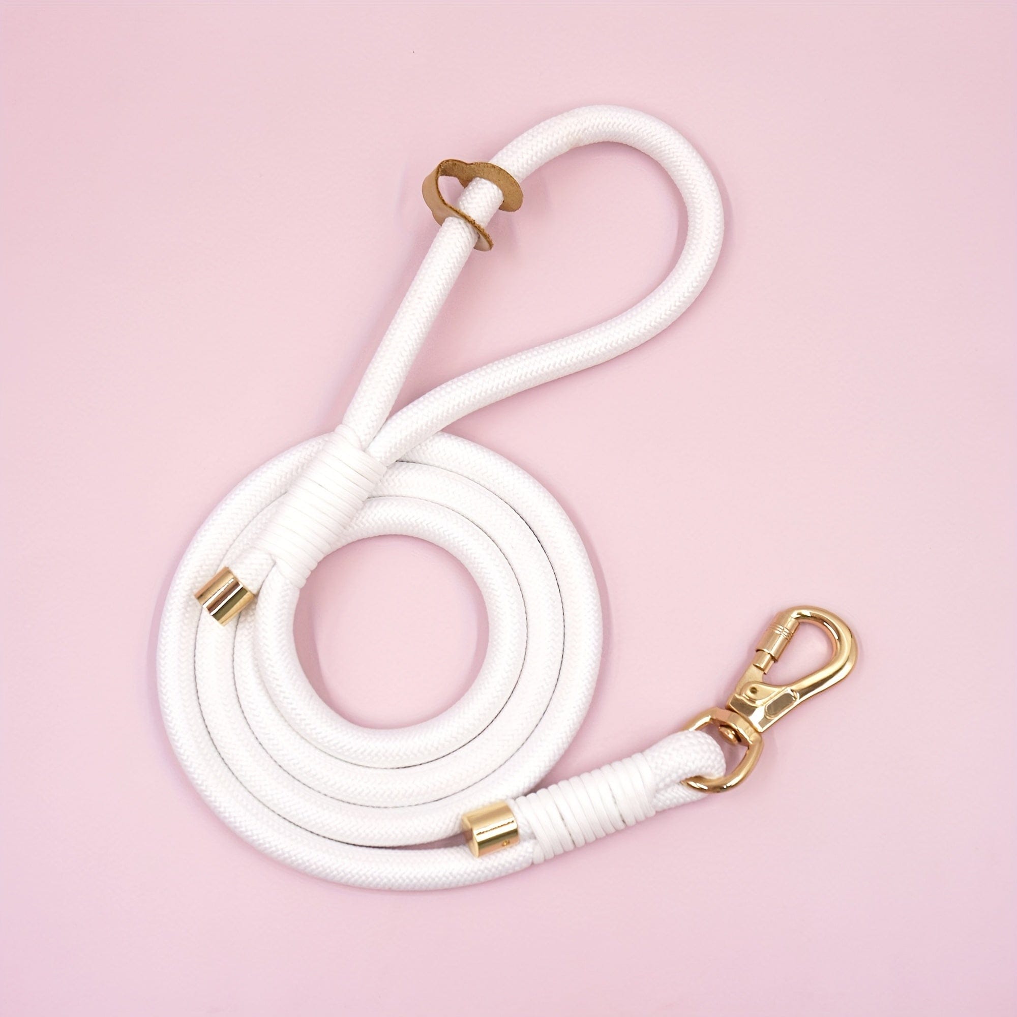 Personalized Teddy Dog Walking Set