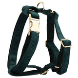 Harness