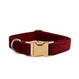 Collar