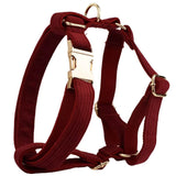 Harness