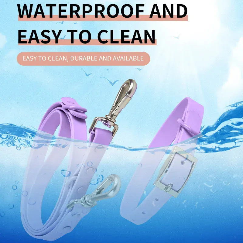 DDPaws  4-Piece Set Dog Harness Dog Leash Dog Collar Adjustable Waterproof Easy To Clean Dog Vest Harness With Dog Poop Bag Holder