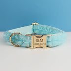 DDPaws  Collar / S Personalized Light Green Lace Classic Set