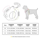 DDPaws  Cute Bowknot Dog Harness Leash Warm Winter Dog Harnesses Soft Fur Pet Vest With Walking Rope Adjustable for Small Medium Dogs