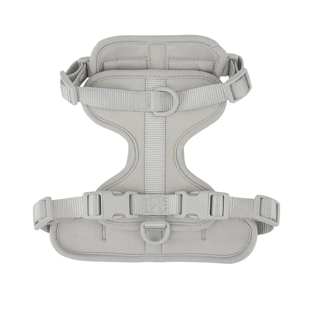 DDPaws  Gray / S Neck 29-33cm Lightweight Dog Harness