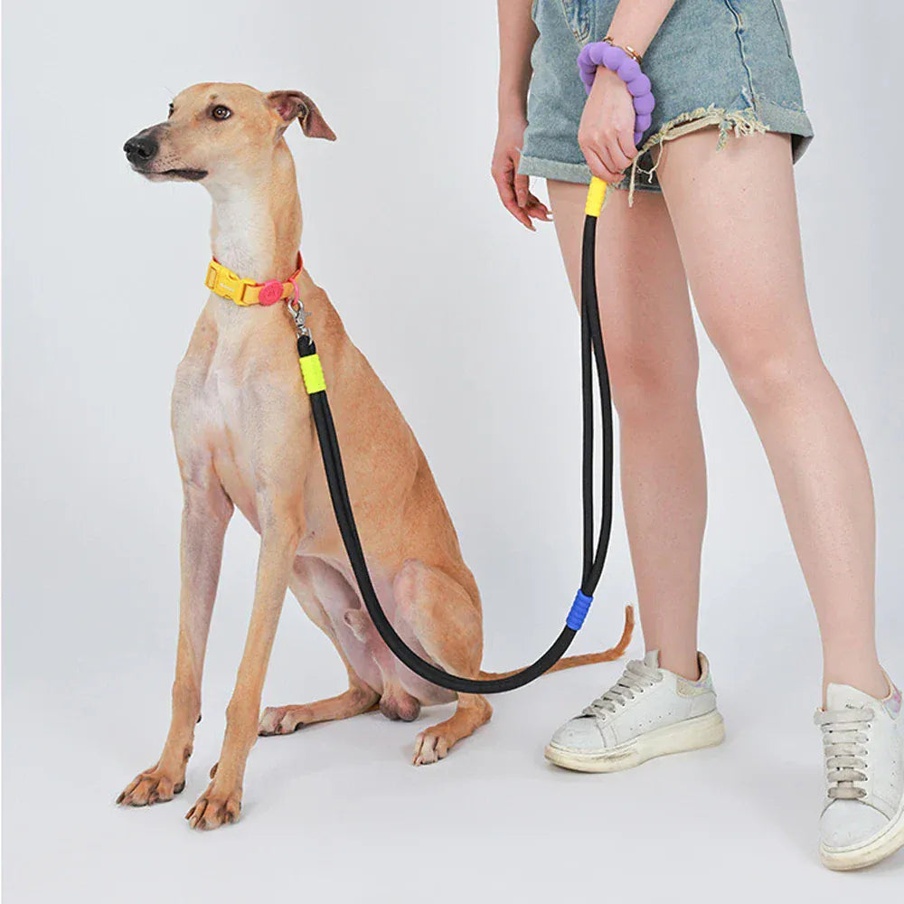 DDPaws  Hands-Free Dog Leash