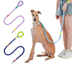 DDPaws  Hands-Free Dog Leash