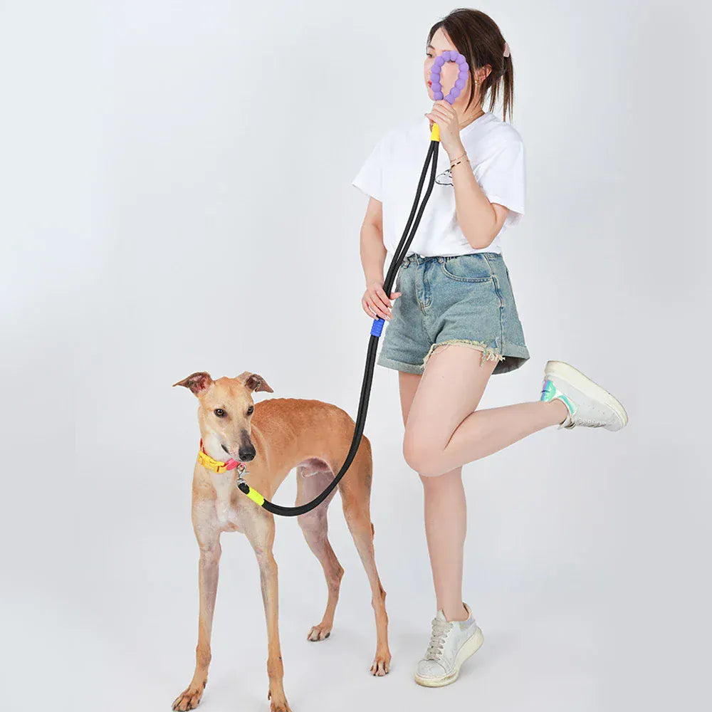 DDPaws  Hands-Free Dog Leash