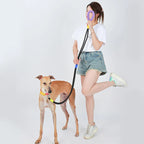 DDPaws  Hands-Free Dog Leash