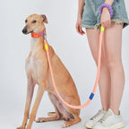 DDPaws  Hands-Free Dog Leash