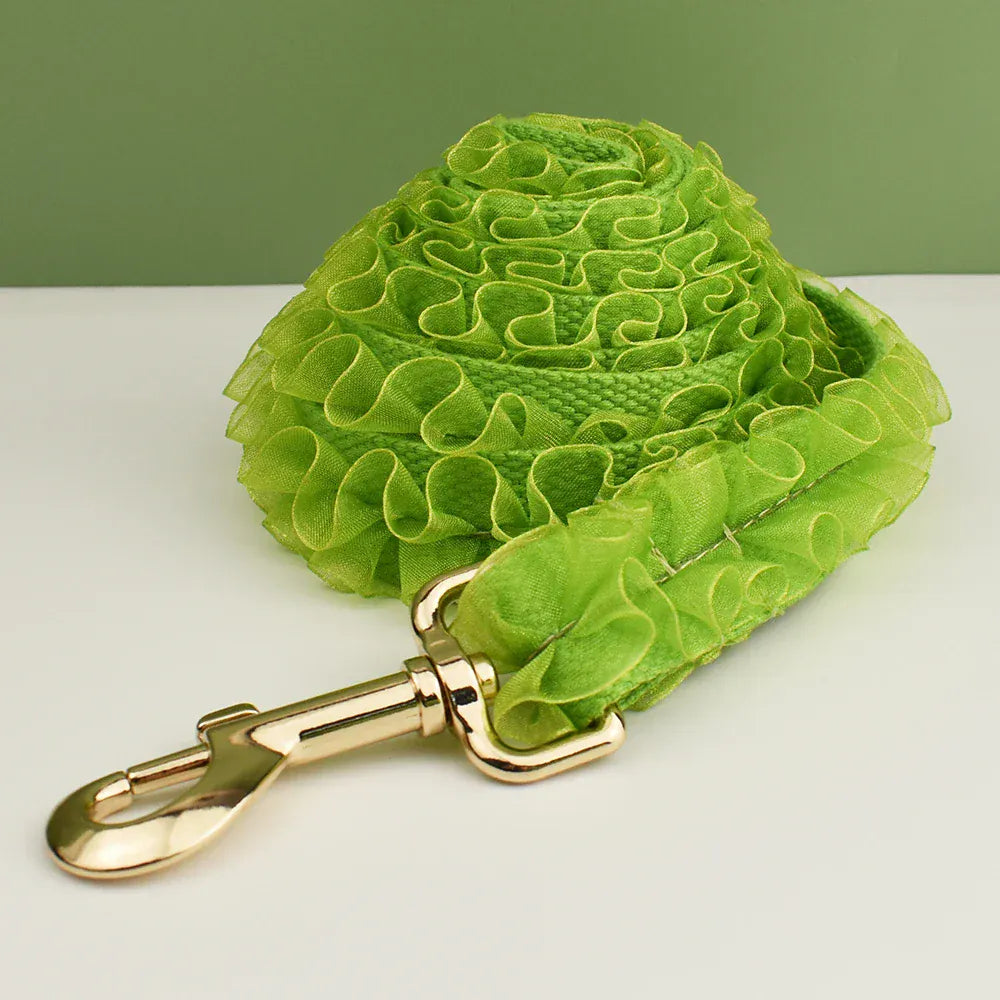 DDPaws  Leash / S Personalized Green Lace Floral Classic Set