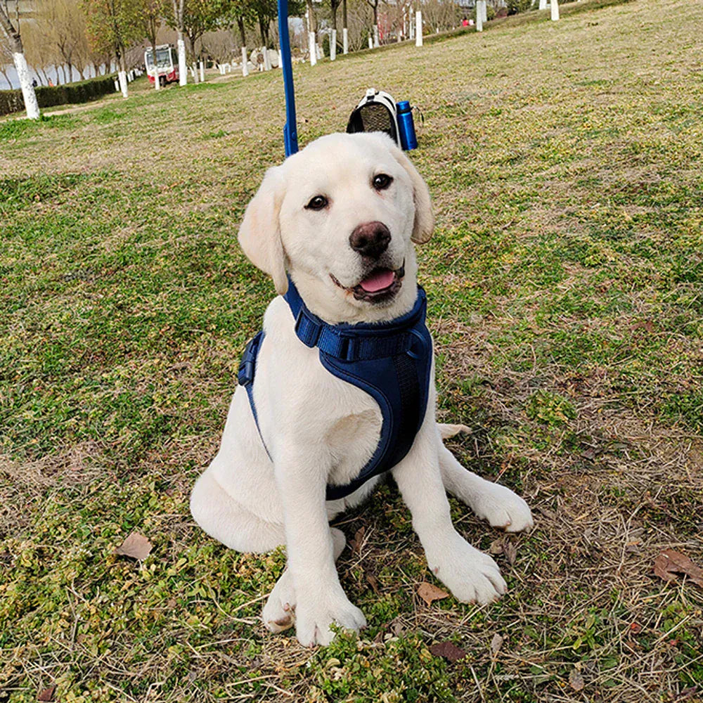 DDPaws  Lightweight Dog Harness