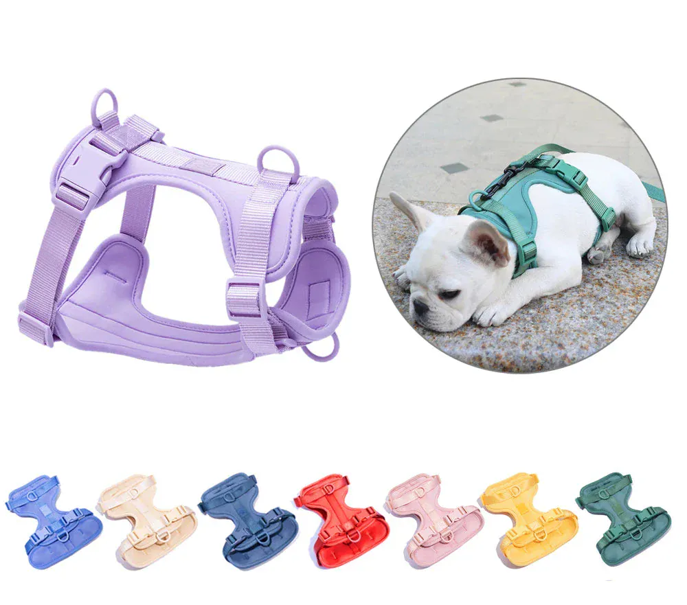 DDPaws  Lightweight Dog Harness