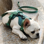 DDPaws  Lightweight Dog Harness