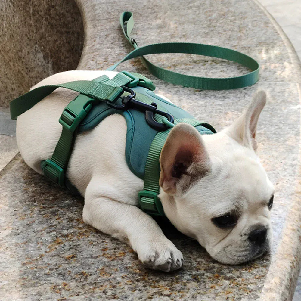 DDPaws  Lightweight Dog Harness