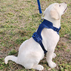 DDPaws  Lightweight Dog Harness