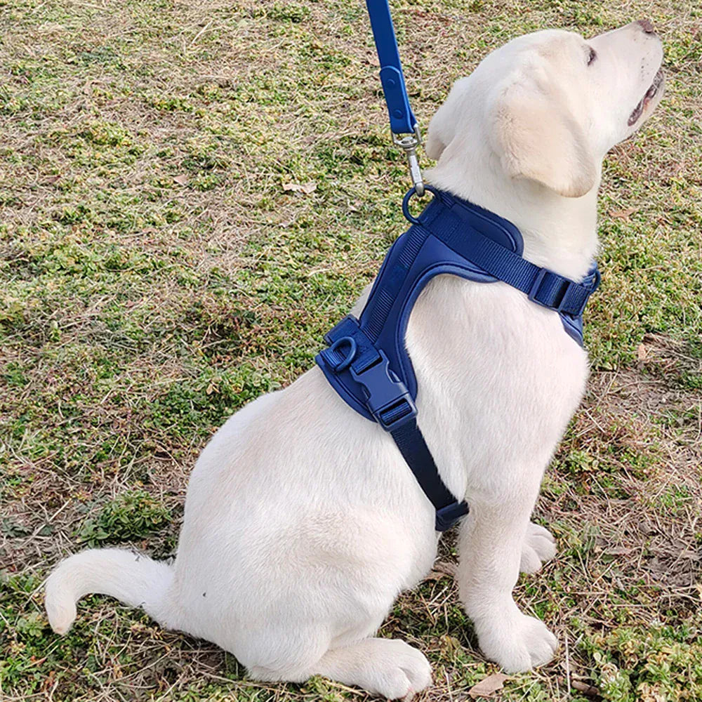 DDPaws  Lightweight Dog Harness